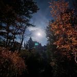 Morgan Loomis - @loomis8810 - Instagram