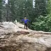 Morgan Lovelace - @morgan_4445 - TikTok