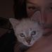 Morgan Mandel - Facebook