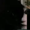morganmandel504 - @morgan_mandel_ - TikTok