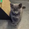 MorganMao - @morganmao7 - TikTok