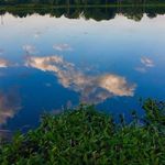 Morgan McCabe - @newchiparks - Instagram