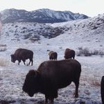 Morgan McCabe - @moperspective - Instagram