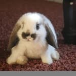 morgan - @morgan_mccoole55 - Instagram