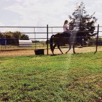Morgan McGann - @horse_girl1013 - Instagram