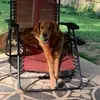 Morgan McGee - @morganmcgee511 - TikTok