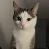 morgansmcwilliams - @summer_morgan24 - TikTok