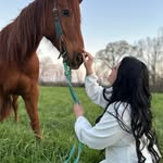 Morgan Medina - @mulletdaddy_02496 - Instagram