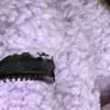 mm.morgan.mendes12 - @mm.morgan.mendes1 - TikTok