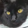 Morgan Millard - @morgan.millard39 - TikTok