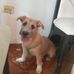 Morgan Moreno - Facebook