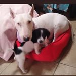 Morgan&annia - @morgann_annia - Instagram