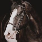 Morgan Neff - @skipper122020 - Instagram