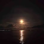Morgan Norman - Facebook