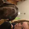 morgan - @ohmorgan - TikTok