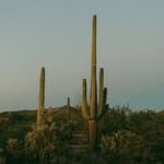 Annie Morgan- Saguaro Pack Presets - @anniemorgan.presets - Instagram