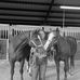 Morgan Payne - Facebook
