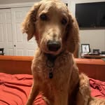 Morgan - @morgan.pine09 - Instagram