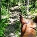 Morgan Plunkett - Facebook