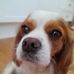 Morgan Pollard - Facebook