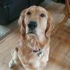 morgan_post - @postygirl1 - TikTok