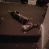 Morgan Potts - @morganpotts5 - TikTok