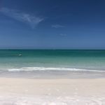 Morgan - @prevattmorgan - Instagram