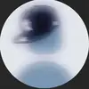 user3984907715959 - @morganpidgeon_ - TikTok