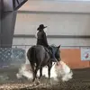 Morgan Quigley - @morgantucker19 - TikTok