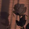 Morgan - @morganramey47 - TikTok