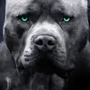 morgan - @morganramirez5 - TikTok