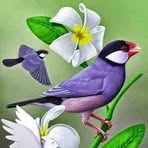 Morgan Rash - Facebook