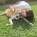 Morgan Reeder - Facebook
