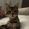 Morgan - @morgan.robbins - TikTok