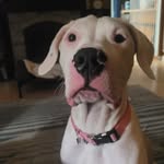 Morgan Robbins - @morganrobbins_0313 - Instagram