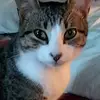 morganrobbins14 - @morganrobbins7 - TikTok