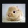 Morgan Rowley - @morganrowley00 - TikTok