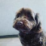 Morgan Rowley - @morgan_rowley80 - Instagram