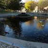morganrowley8 - @morgan.rowley1 - TikTok