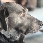 Amy Morgan Rubin - @so4amy - Instagram