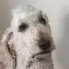 Morgan 🐴 - @morgan.sager3 - TikTok