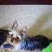 Morgan Schell - Facebook