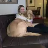 Morgan - @morganschultz - TikTok