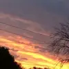 Morgan Schultz - @mschultz08 - TikTok