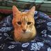 James Morgan - Facebook