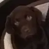Morgan Simms - @morgan_simms_ - TikTok