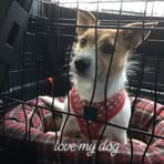 Morgan Singleton - Facebook