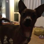 morgan - @morgan_spear_account - Instagram