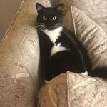 Melissa Morgan Squire - @msmsquire - Instagram