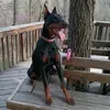 Morgan Stapp - @morgan.stapp - TikTok